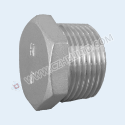 HEXAGON HEAD PLUG